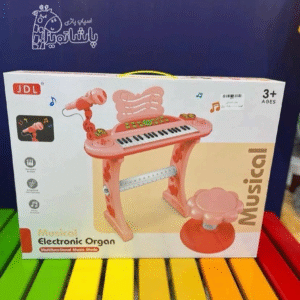 musical electronic organ for kids